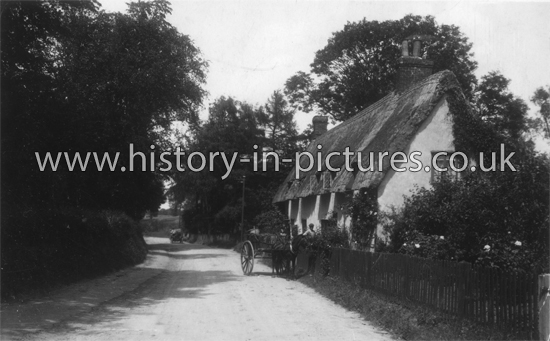 The Village, Gt Bardfield, Essex. c.1914